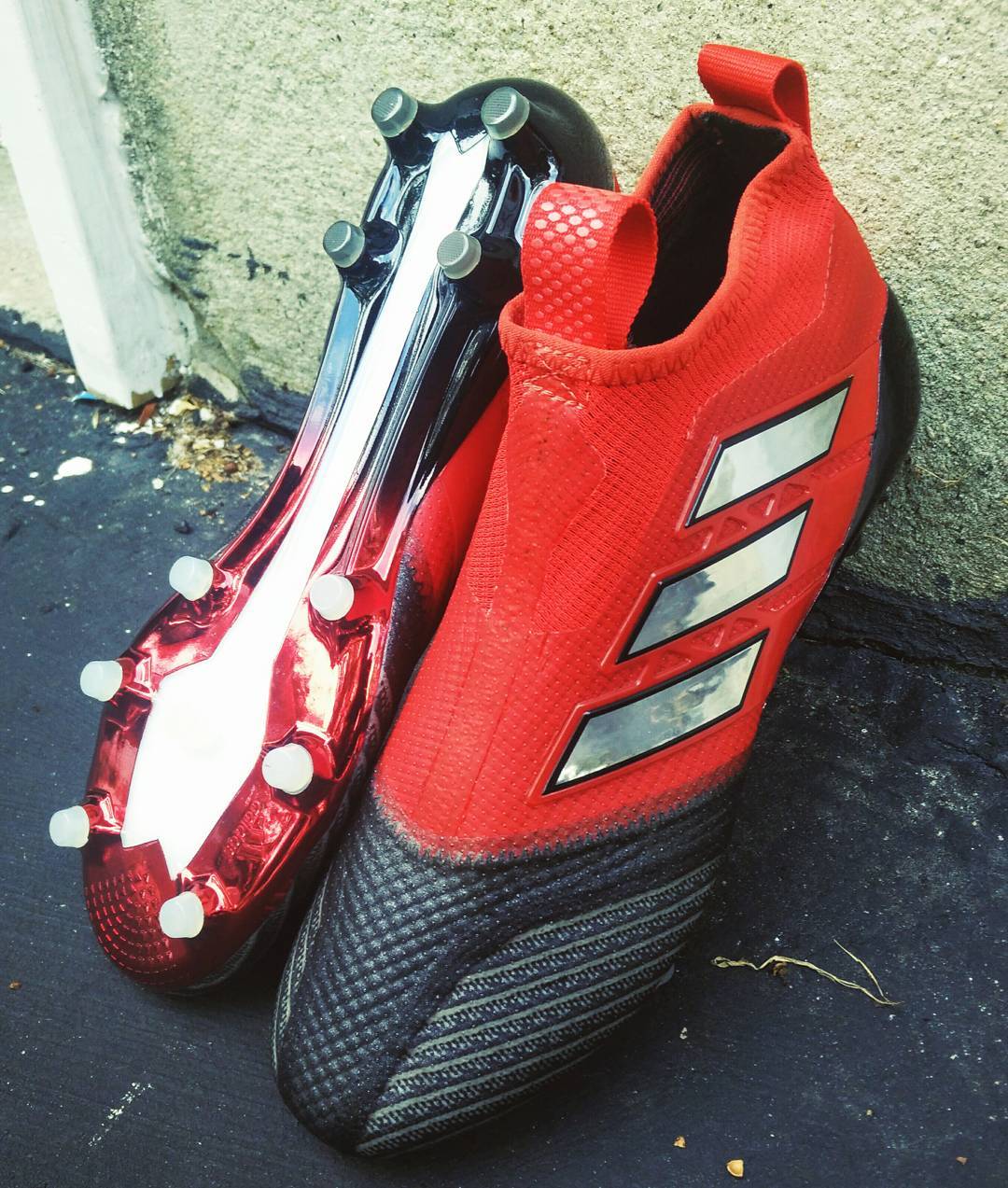 Laceless 2025 ace 17